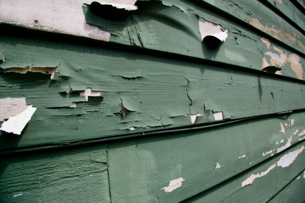 Best Dumpster Rental Services  in Wtmore Village, HI