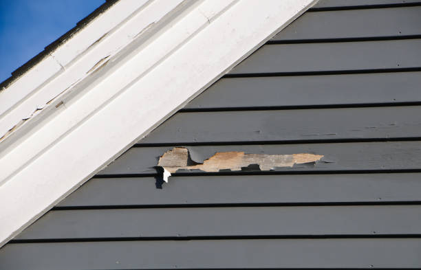 Best Demolition Debris Removal  in Wtmore Village, HI
